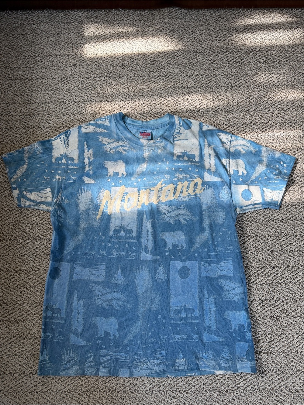 Vintage  Montana Nature Mountain Tee On Hanes Heavyweight USA Made SzXL